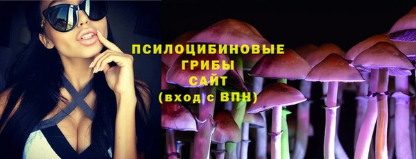 герыч Алзамай