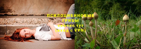 герыч Алзамай